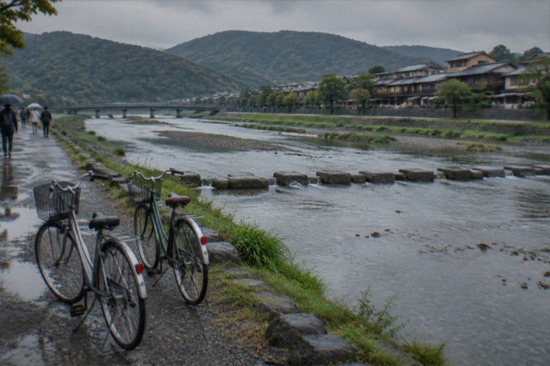 Bike Tour Exploring North Kyoto plus Lunch