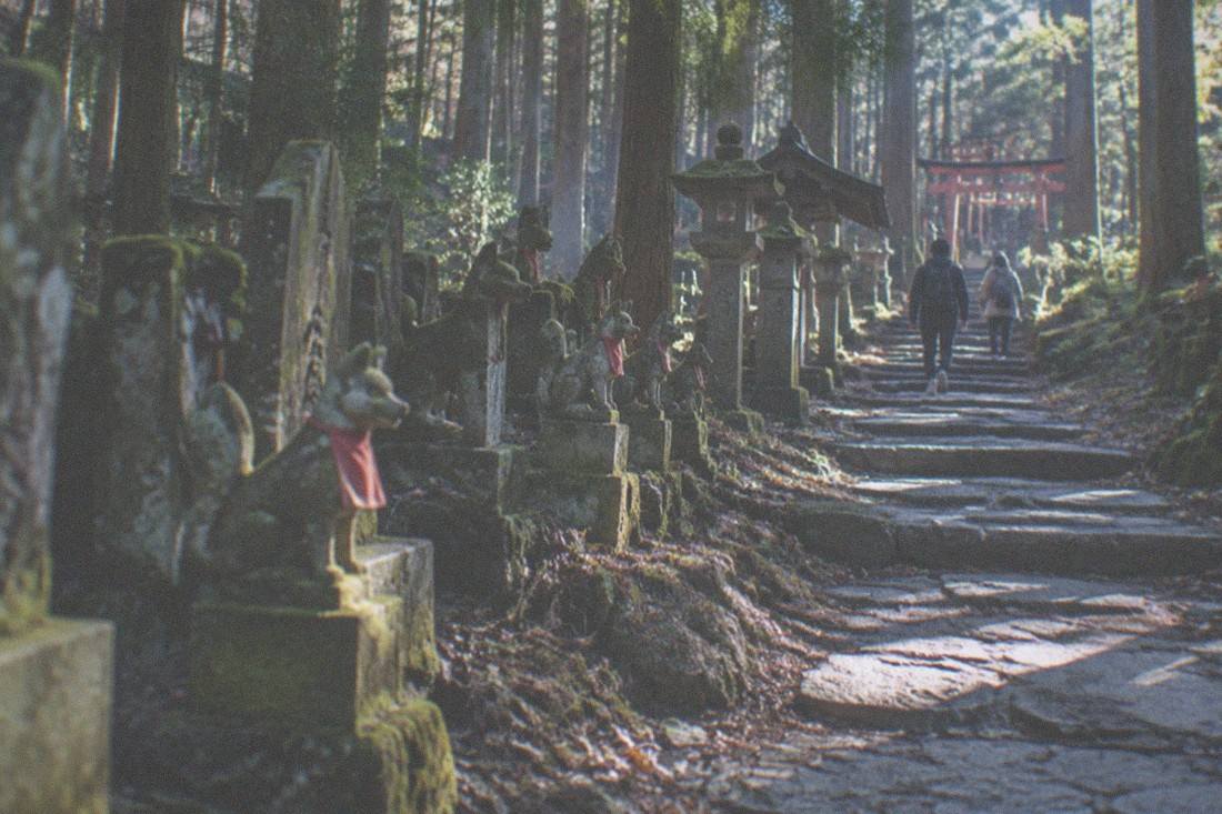 Fushimi Inari Hidden Hike, Fushimi