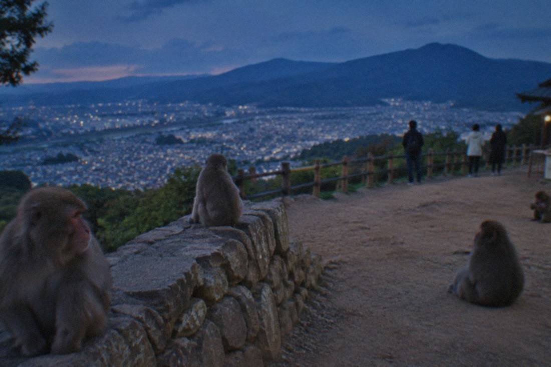 Arashiyama Walk, Monkeys & Garden, Arashiyama