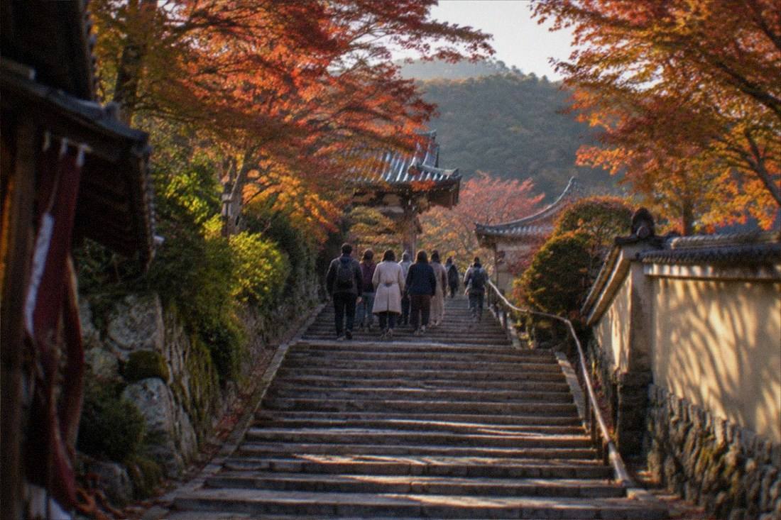 Perfect 1-Day Bus Tour, Kyoto