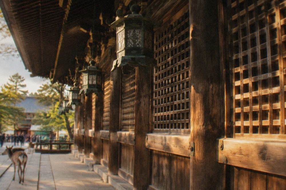 Wooden lattice doors of a large temple hall with bronze lanterns hanging under the eaves