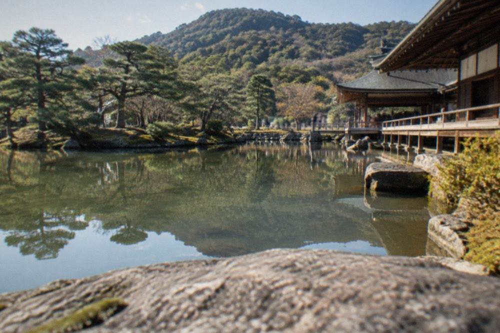 A Zen temple garden pond reflecting pine trees and a wooden veranda with forested hills behind