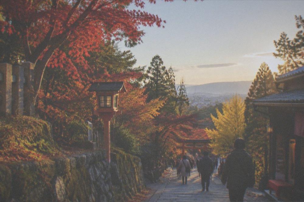 Autumn maple leaves along a stone path on the forested hillside at Fushimi Inari