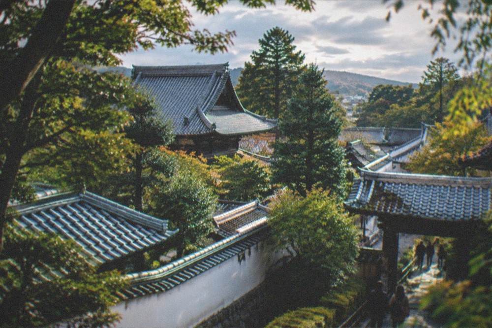 Late afternoon light on the tiled roofs and walls of a Zen temple complex seen through trees