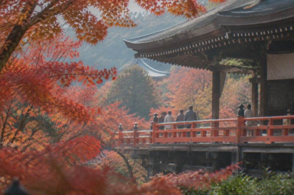 A temple hall in Kyoto with vermillion railings surrounded by bright red and orange maple trees
