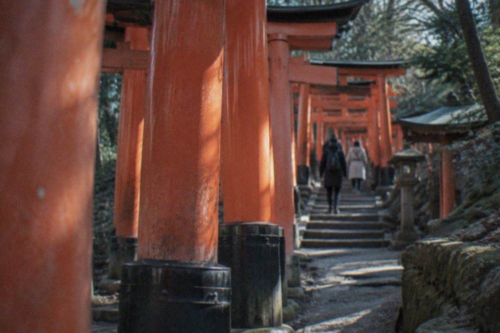 Rows of vermilion torii gates climbing a forested hillside at Fushimi Inari