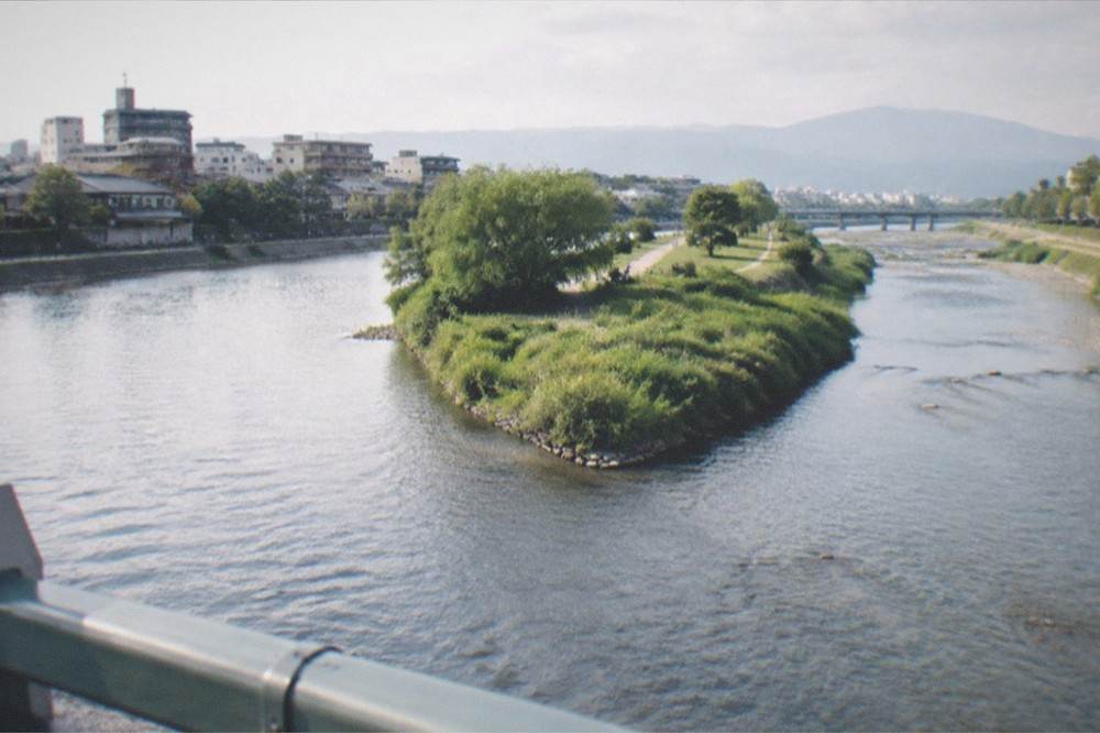 A river delta seen from a bridge with two channels meeting around a green wedge of land