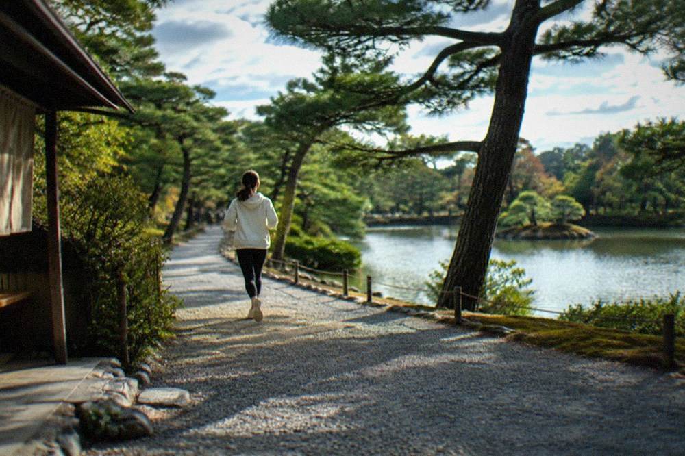 Gravel garden paths curving through pine trees toward a pond in Kyoto