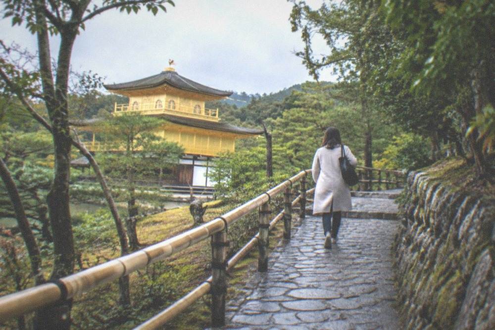 A stone path winding up through trees in the temple garden above the pavilion