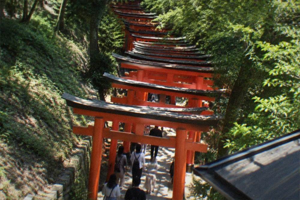A long tunnel of red torii gates winding up a wooded hillside