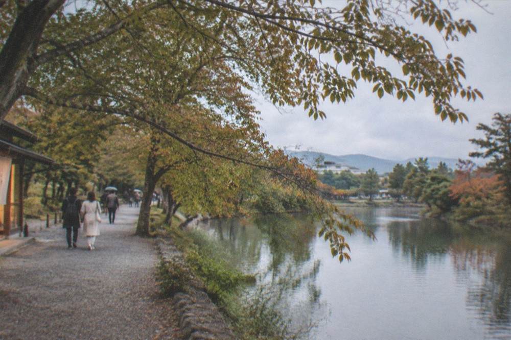 A riverside walking path with trees overhanging calm water