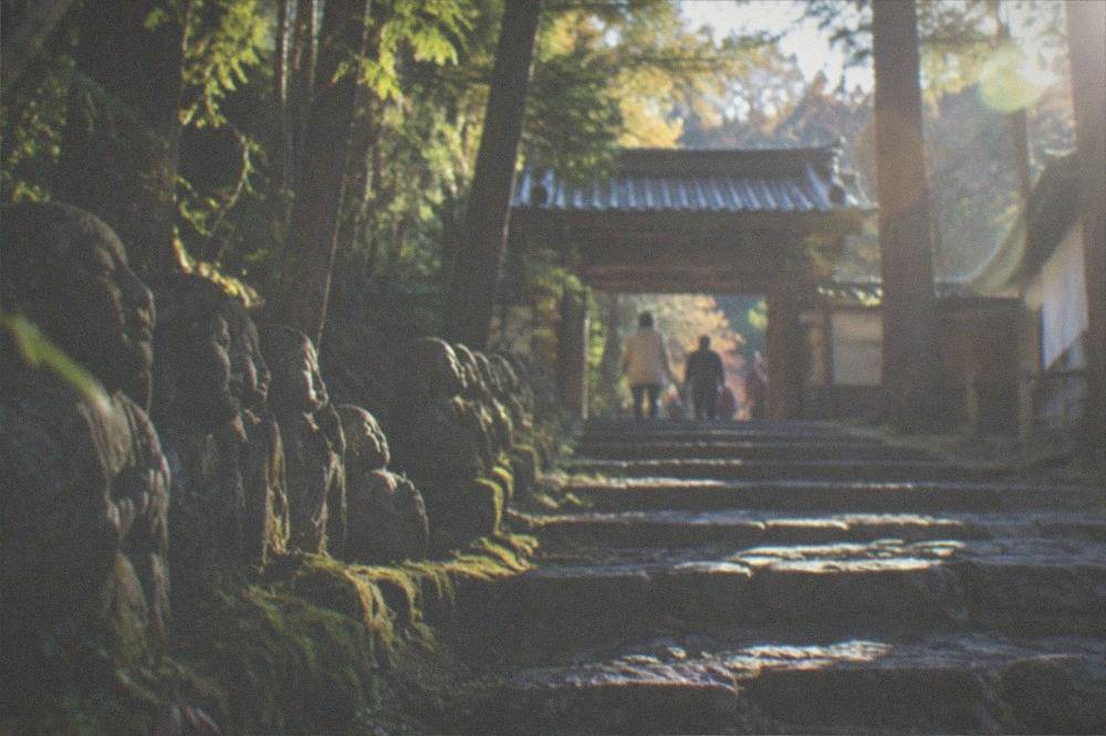 A stone steps path through green forest leading to a small temple gate