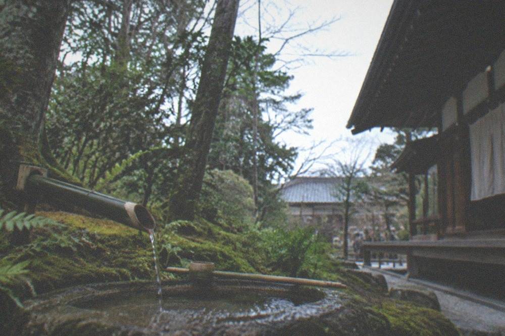 A low stone water basin set among moss and trees behind a wooden temple building