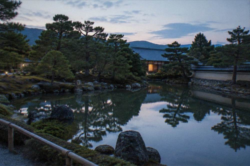 A tranquil garden pond with pines and reflected trees inside temple grounds in Kyoto