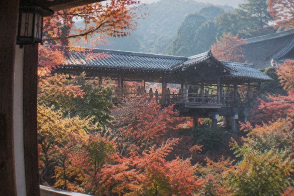 A wooden covered bridge crossing a valley of dense red and orange maple trees at a Kyoto temple