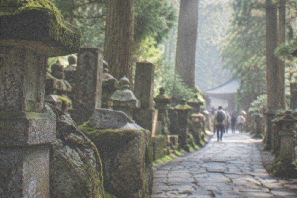 Stone path through a cedar forest lined with mossy grave markers