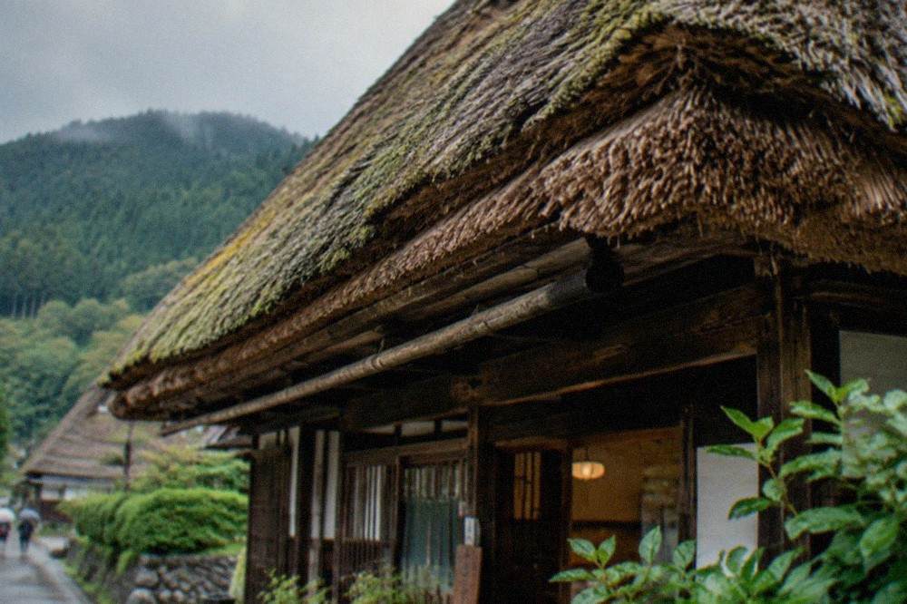 A steep thatched farmhouse roof seen from below with thick straw eaves and a wooden frame