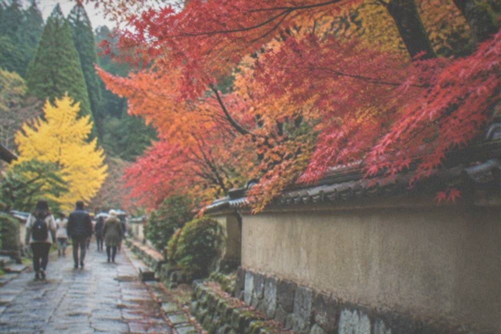 Maple trees in red and orange autumn colour along a stone path beside a temple wall