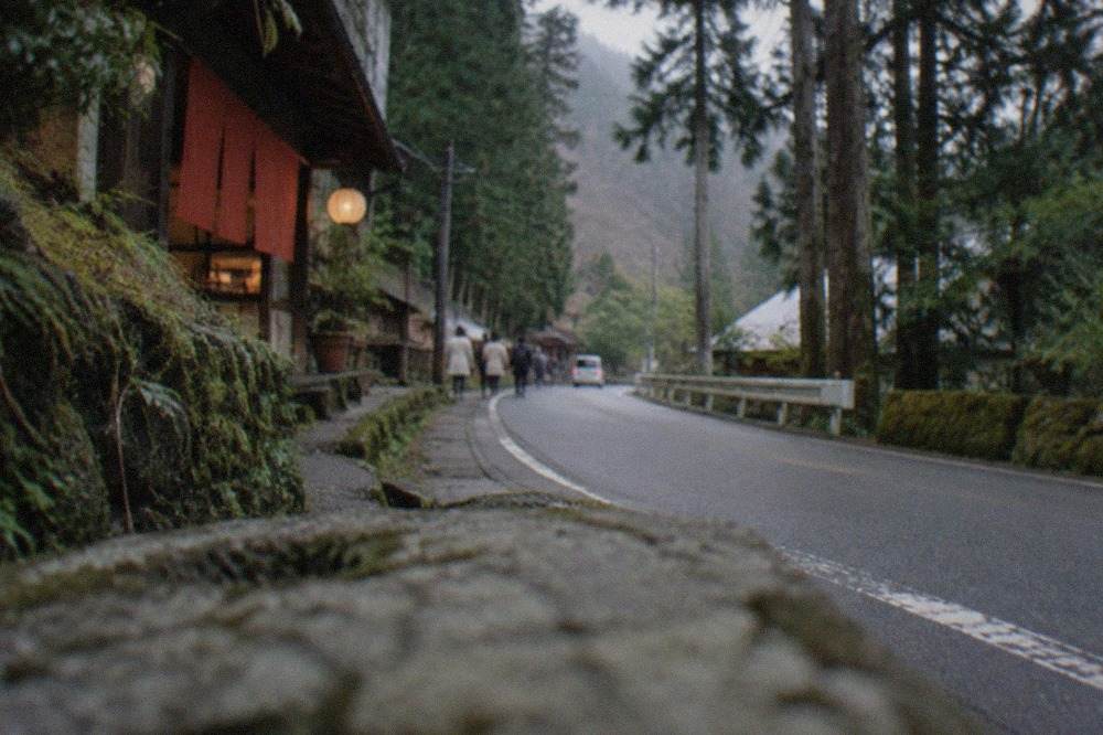 A quiet mountain road winding through tall cedar trees in the hills northwest of Kyoto