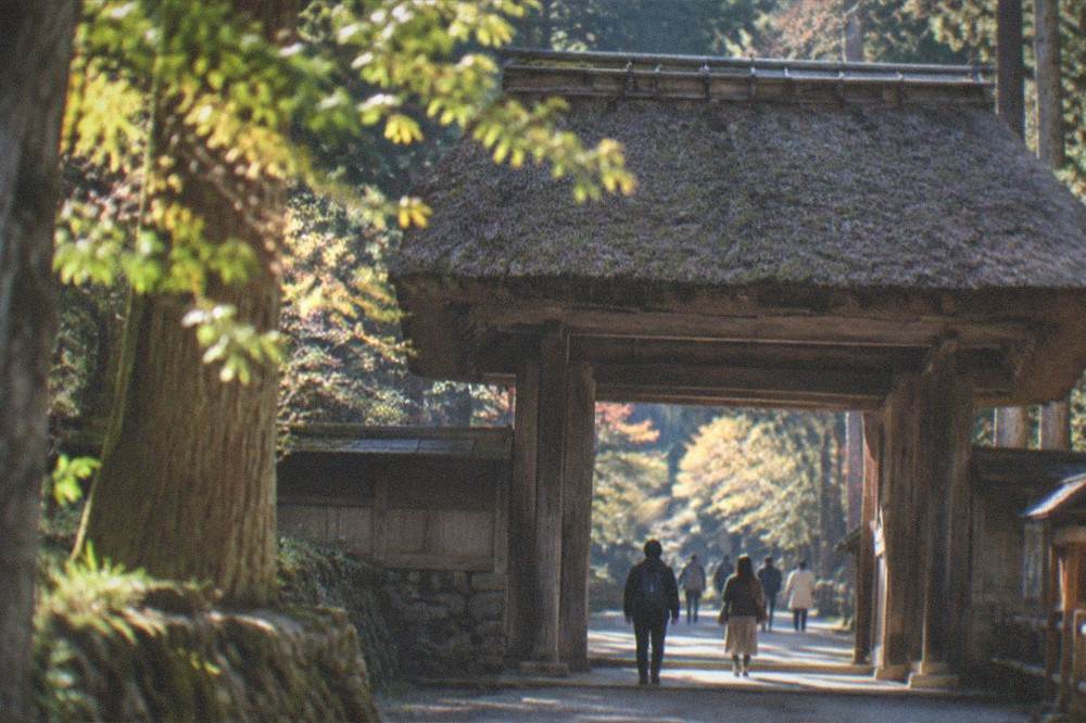 A wooden temple gate with a thatched roof standing among tall trees