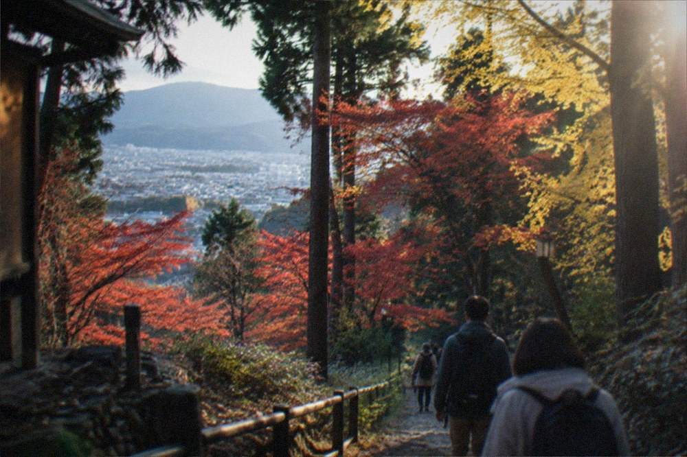 Hikers walking a forested mountain trail above Kyoto in autumn
