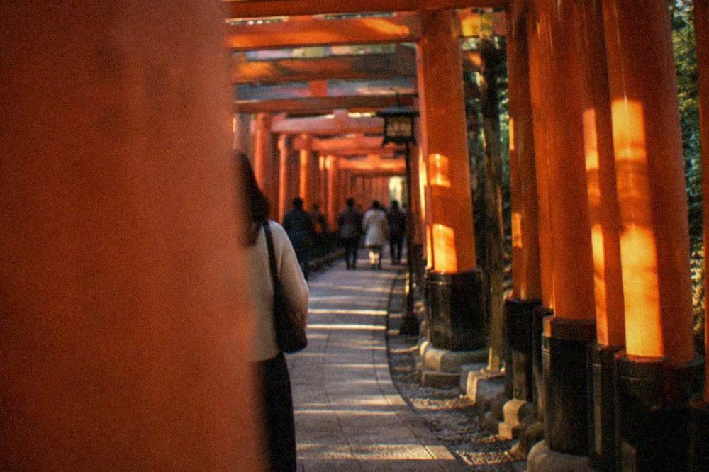Dense rows of red torii gates forming a tunnel along the lower slope of the mountain