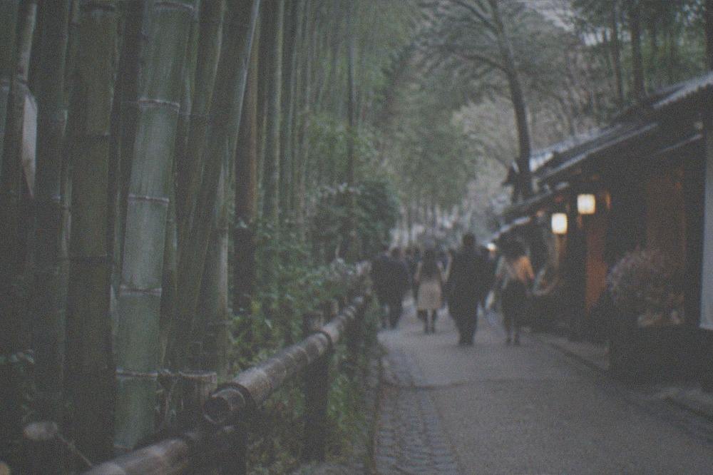Tall green bamboo stalks rising along the narrow walking path of the Arashiyama grove