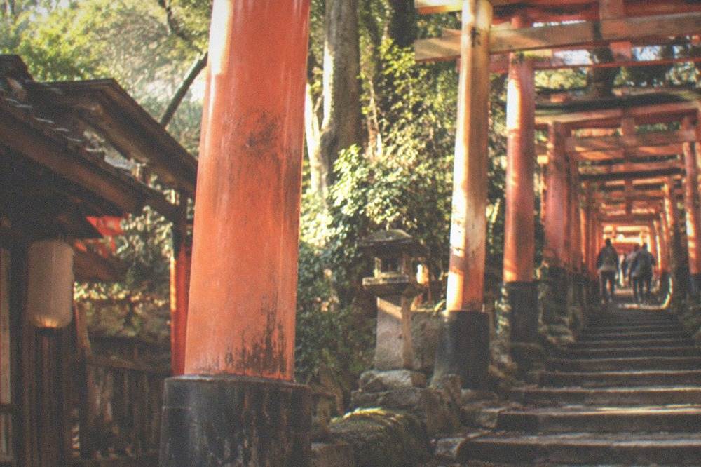 Vermilion torii gates receding up a wooded hillside at Fushimi Inari