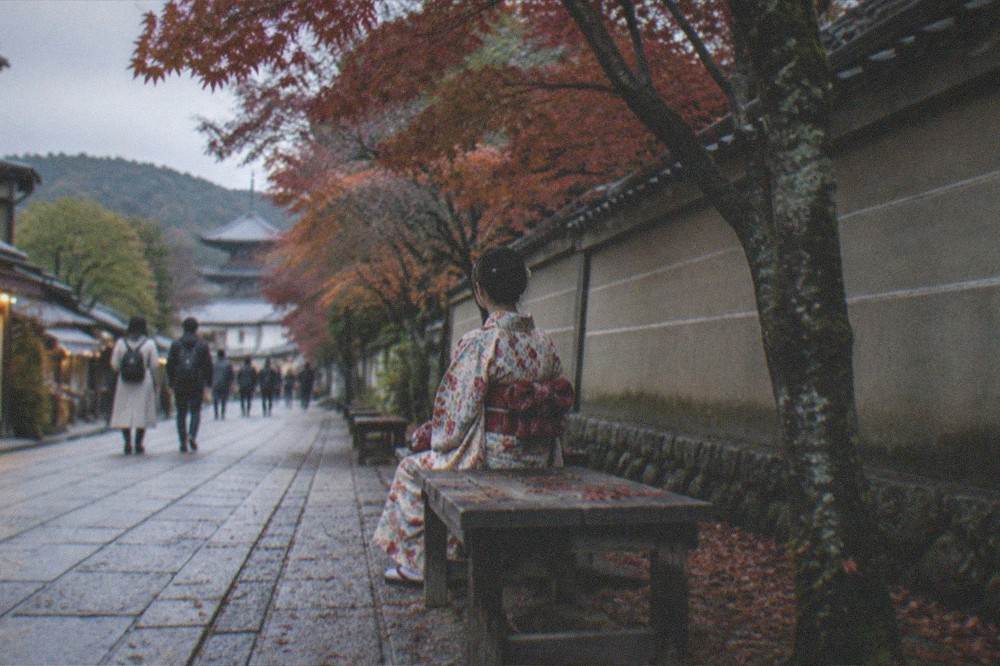 A visitor in a patterned kimono resting on a bench beneath maple trees beside a temple wall