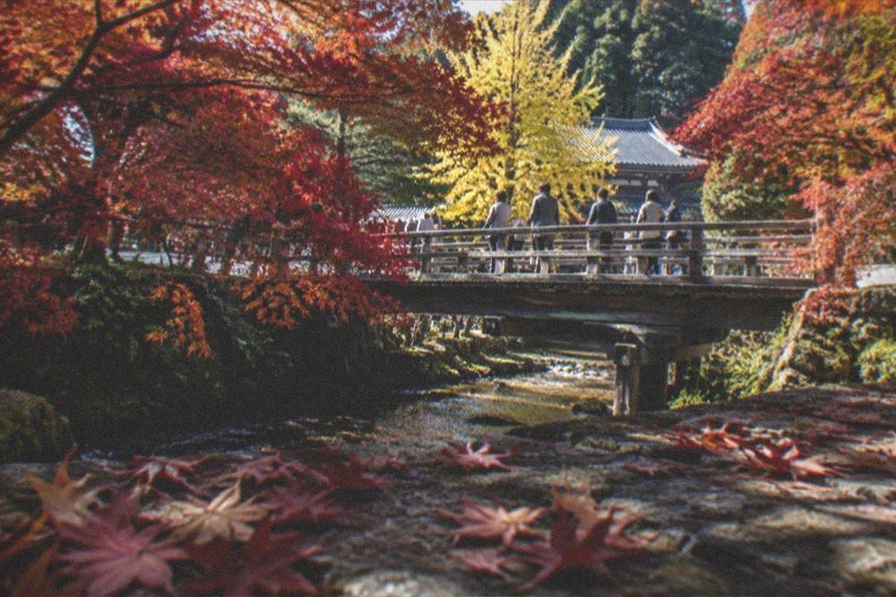 Red and orange maple leaves framing a wooden bridge over a stream in Kyoto