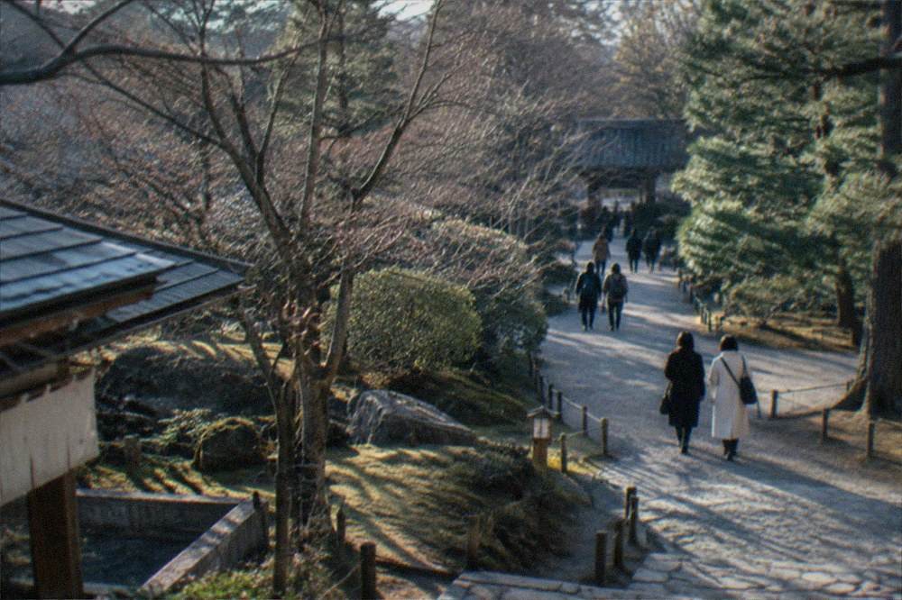 A quiet temple garden path with bare trees and raked gravel in winter light