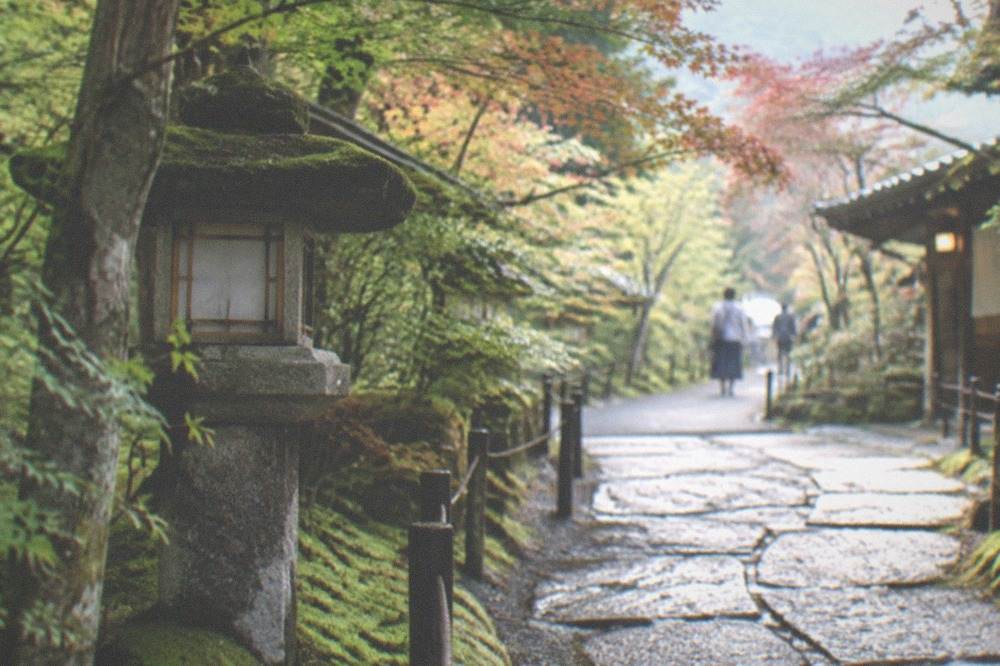 A quiet stone path through a moss and maple garden at a temple in northern Kyoto