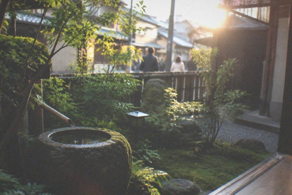 A small courtyard garden with a stone basin and moss seen from a wooden veranda edge
