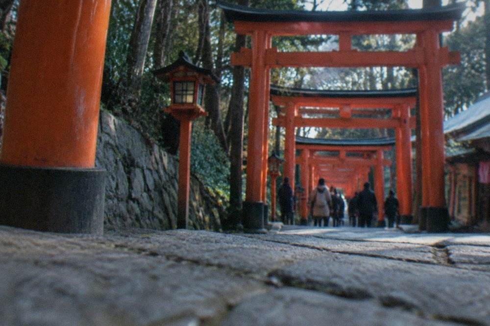 Vermilion torii gates climbing the wooded slopes of Fushimi Inari mountain in Kyoto