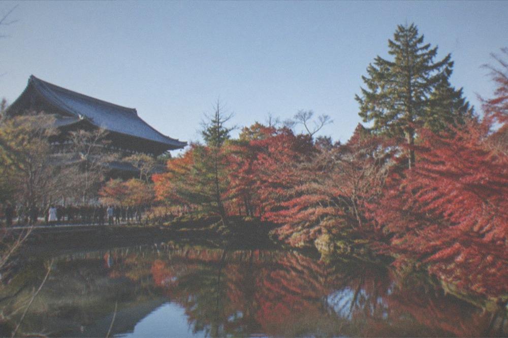 A temple garden lit for evening illumination with red maples over a pond