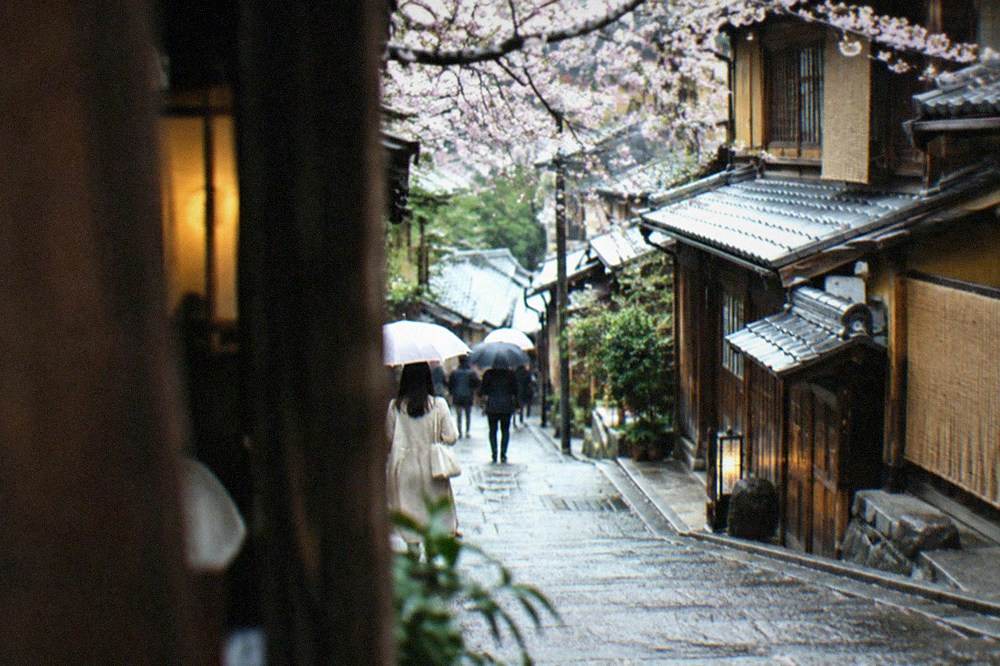 Wooden machiya shopfronts on a sloped stone lane in Higashiyama with cherry branches above