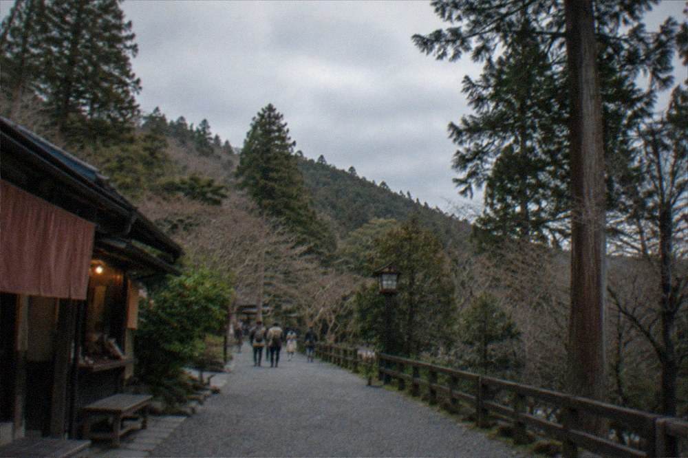Forest trail on a wooded mountainside in northern Kyoto with cedar trees