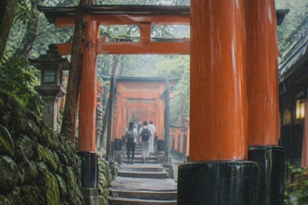 The vermilion torii gates of Fushimi Inari rising through the forested mountain path above Kyoto