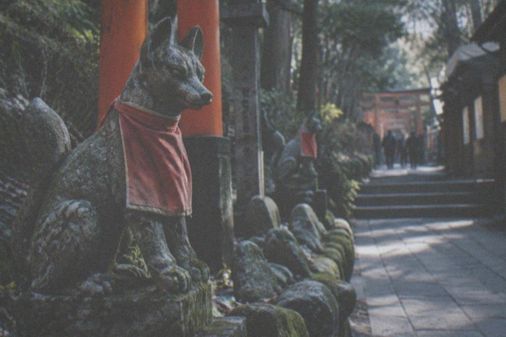 Fox statues and small worship stones along a forested path at Fushimi Inari
