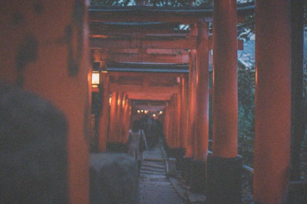 Rows of vermilion torii gates forming a tunnel along a wooded shrine path on a mountainside