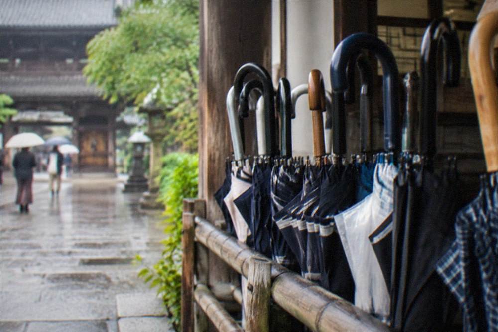 Row of umbrellas parked outside a Kyoto temple entrance