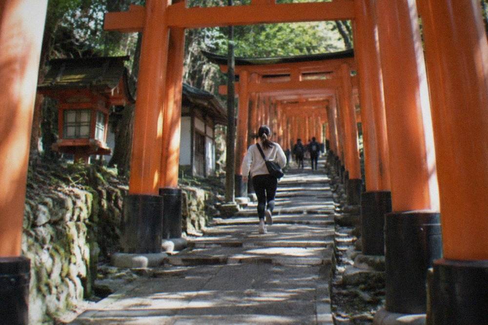 Torii gates rising up the forested slope of Inariyama at Fushimi Inari Taisha in soft morning light