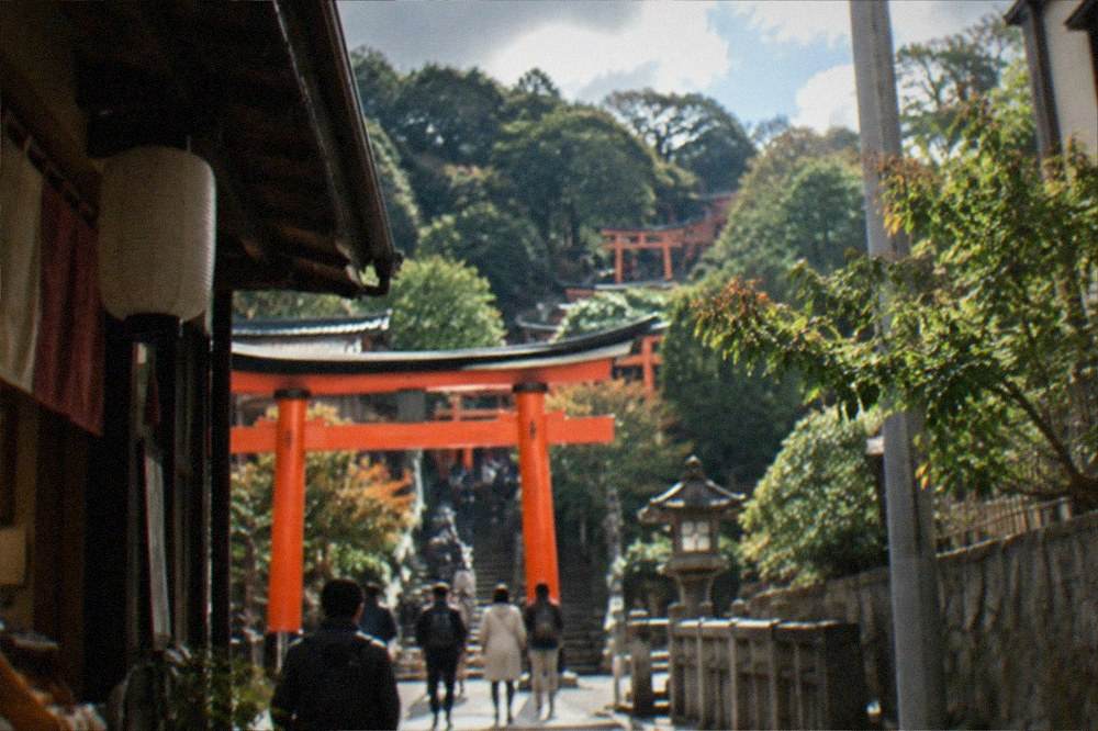Vermilion torii gates receding up the forested slopes of Inariyama